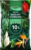 Blumenerde Premium - 10L - für Zimmerpflanzen - Hochwertige Produktbild-Vorschau 2