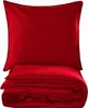 A folded red duvet and a red pillow with black trim, presented on a white background. Náhľad obrázku produktu