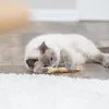 Matatabi-Stick mit Fransen 24 cm Produktbild-Vorschau 9