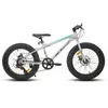 HILAND 20 Zoll Kinderfahrrad mit 4.0 Fat Tire, Shimano Produktbild-Vorschau 2