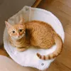 Kratzbaum und Hängematte Katzenbetten, Höhe 51cm Milchig Produktbild-Vorschau 5