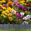 KRUMAD Bordure de pelouse Aspect pierre 250 cm 10 pièces Voir les images du produit 11