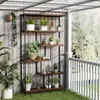 A plant stand filled with various plants on a balcony with a wooden wall and railing. Podgląd zdjęcia produktu