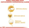 Diagram illustrating benefits of cat food, including healthy joints, heart, skin, and coat. Náhled obrázku produktu