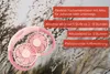 Unold NACKENVENTILATOR BREEZY mit zwei Lüftern und flexiblem Schwanenhals liegt auf einer Wiese. Tex Produktbild-Vorschau