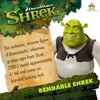 Figurka Shrek Bendyfigs 15 cm - Kolekcjonerska Miniaturna Anteprima dell’immagine prodotto 9