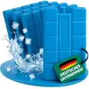 6er Set Kühlakku Kühlelement Kühltasche Kühlbox Kühlpacks Produktbild-Vorschau 1