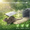 Rattenfalle 4er Set Lebendfalle Ratten Falle Mausefalle Produktbild-Vorschau 5