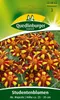 Studentenblume Mr. Majestic | Blumensamen von Quedlinburger Produktbild-Vorschau 1