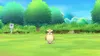 A cartoon-like rendering of a Pidgey Pokémon standing in a grassy field with trees in the background. Produktbild-Vorschau