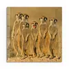 DEQORI Glasbild Echtglas 30x30 cm 'Wachsame Freunde' Produktbild-Vorschau 2