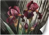 Vlies fototapete Abstrakte rote Blumen 100x70 cm Feeby Rot Produktbild-Vorschau 1