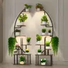 A plant stand with multiple shelves and plants, illuminated by built-in lights, placed against a wall. Podgląd zdjęcia produktu