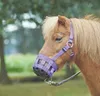 Busse Fressbremse CLASSIC, Größe:Shetty, Farbe:schwarz Produktbild-Vorschau 2
