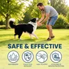 INF Kalmerende Halsband voor Huisdieren 4-pack – Plastic, Productafbeelding-voorbeeld 2
