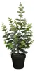 Kunstpflanze Eukalyptus - H53 cm - grun - Kunststoff - Produktbild-Vorschau 1