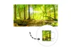 KitchenYeah® Tasse Kaffeetasse Kaffeebecher 350 ml Wald - Produktbild-Vorschau 5