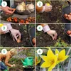 Cibule tulipánů, mrazuvzdorné, víceleté – botanická směs – Náhled obrázku produktu 3