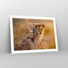 Poster - Poster ohne Rahmen - Löwe Natur Tier - 70x50 cm - Produktbild-Vorschau 7