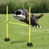 XINZI Set de barres de saut Barres d'entraînement Agility Voir les images du produit 7