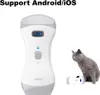 CONTEC CMS1600B-VET Handheld Veterinär Ultraschallgerät Produktbild-Vorschau 1