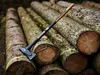 CAT Spalt- und Hammerbeil J-Serie Produktbild-Vorschau 2