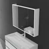 A modern bathroom vanity with a sink and a mirrored medicine cabinet above it, set against a dark gray wall. Voir les images du produit