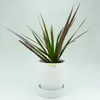 Keramik Blumentopf Ibiza weiss matt mit Untersetzer Produktbild-Vorschau 2