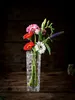 Nachtmann Bossa Nova vaas, 16 cm Productafbeelding-voorbeeld 8