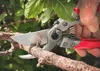 ARS-Profi-Gartenschere VS-9XZ 22,5 cm 257g  perfekt Produktbild-Vorschau 4