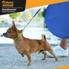 Agility Set für Hunde: 300cm Hundetunnel, 3 Slalom-Stangen, Produktbild-Vorschau 8