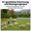 A boy playing with a dog in a backyard with a pool and a small dog house. Produktbild-Vorschau