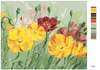 Zuty - Malen nach Zahlen - BUNTE MOHNBLUMEN, 40x50 cm, mit Produktbild-Vorschau 3