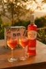 Sarti Spritz Geschenkset – Sarti Rosa 0,7L (14% Vol.) mit 2 Produktbild-Vorschau 3