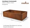 osoltus Pflanzkübel Hochbeet 200x100x43cm Corten-Stahl Produktbild-Vorschau 3
