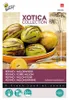 Buzzy Xotica Pepino melón hruška semená - cca 15 semien | Náhľad obrázku produktu 2