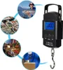 50kg Digitální váha s metrem, LCD váha pro jeřáby, přesnost Náhled obrázku produktu 8