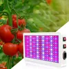 A grow light is shown next to a tomato plant with ripe tomatoes. Produktbild-Vorschau