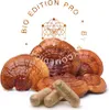 MycoMedica Reishi PRO 90 Kapseln Produktbild-Vorschau 3