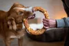 Nobby StarSnack Barbecue Chicken Donut XL ca. 20,0 cm, 220 Produktbild-Vorschau 7