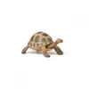 Papo Wild Life Schildkröte 50264 Produktbild-Vorschau 4