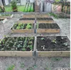 ROYSSON® 3 x Hochbeet 120 x 80 cm Palettenrahmen | Produktbild-Vorschau 7