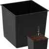 A large black square planter is shown in the foreground, with a smaller planter filled with soil and a trowel in the bottom right corner. Produktbild-Vorschau