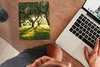 MuchoWow® Mauspad Mousepad Bäume - Natur - Sonne 19x23 cm - Produktbild-Vorschau 3