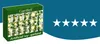 Edera artificiale + LED Gardlov 24538 Anteprima dell’immagine prodotto 19