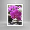 Poster - Poster ohne Rahmen - Orchidee Bambus Dekoration Produktbild-Vorschau 4