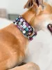 Collier martingale pour chien, modèle Liberty, taille M Voir les images du produit 4