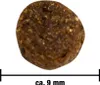 A close-up view of a single dog kibble. Produktbild-Vorschau