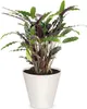 Prosperplast bloempot TUBUS, wit, 30 cm Productafbeelding-voorbeeld 2