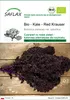 SAFLAX - Bio - Kale - Red Krauser - 50 Nasiona - Brassica Podgląd zdjęcia produktu 1